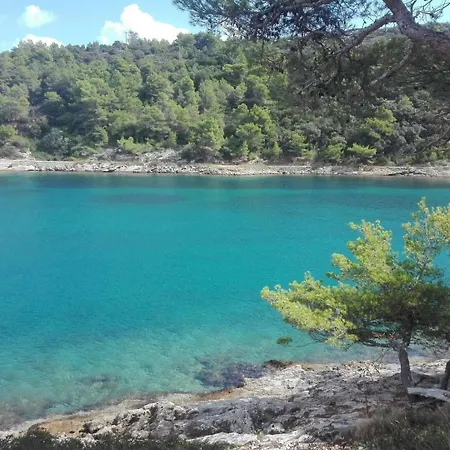 Апартаменты Soni